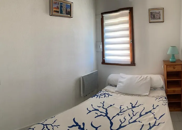 דירה T3 Climatise 40m2 Piscine Parking Prive 2 Secteur Falaises 50 M De La Proche Centre-port 4 Personnes אגדה